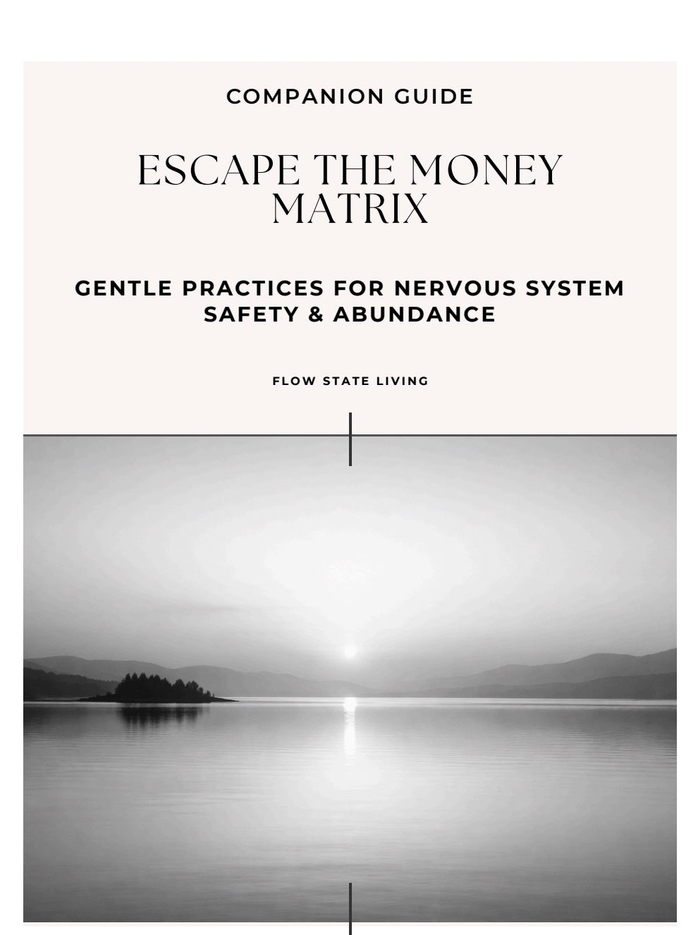 nervous system regulation guide
money mindset nervous system